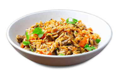 Wild Rice with Mushrooms, Asian Style Vegetarian Meal in a Bowl on White Background