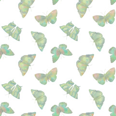 illustration for wallpaper, seamless pattern, colorful butterflies isolated on white background