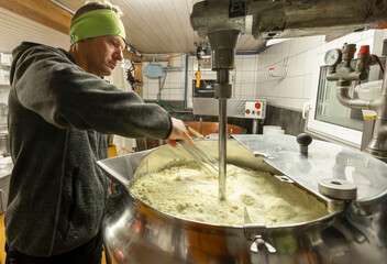 A focused cheese maker stirs curdled milk in a large vat engaged in the traditional craft of cheese production