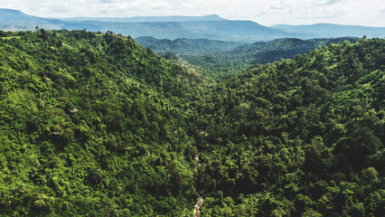 High angle view Aerial photograph of forest