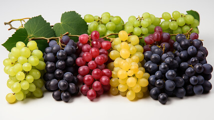 Bunches of ripe fresh grape on the grapevine, soft focus background