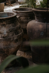 Obraz premium pots in the garden