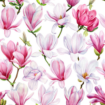 Magnolia flowers Seamless pattern. Magnolia flower watercolor illustration. Pink Floral pattern for wallpaper background