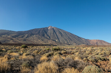 Landscape of Teide National Park on Tenerife