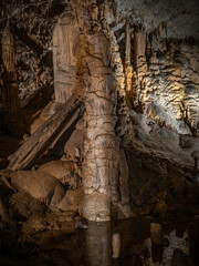 The cave Postojna Cave in Slovenia.