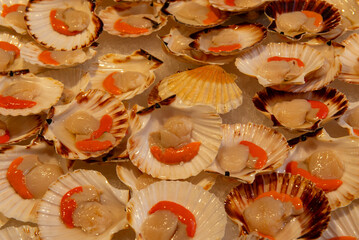 scallops with roe, fish market, Venice Italy