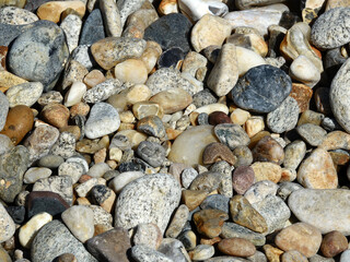 galets à marais basse