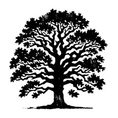 Oak tree. Vintage withered black and white block print style vector illustration.