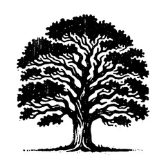 Oak tree. Vintage withered black and white block print style vector illustration.