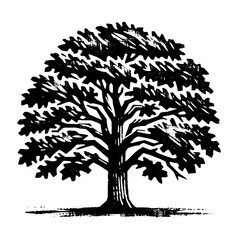 Fototapeta premium Oak tree. Vintage withered black and white block print style vector illustration.