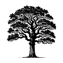 Oak tree. Vintage withered black and white block print style vector illustration.