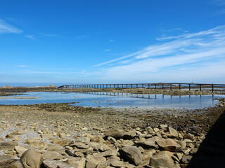 Baie de Roscoff à marée basse