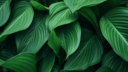 Green abstract tropical plant leaf nature background AI Generated Image