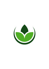 GREEN FLOWER LOGO