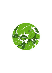 HERBA LEAF LOGO