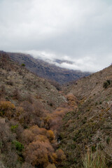 Andalusia mountains, soft lighting, forest and clouds