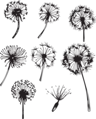 Fotobehang Hand drawn dandelion doodle set. © Михаил Н