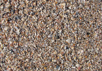 colorful coarse sea sand and crushed shells
