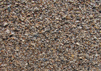 colorful coarse sea sand and crushed shells