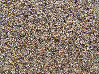 colorful coarse sea sand and crushed shells