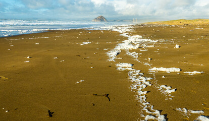 Sea foam on the beach