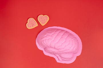 In love concept st valentine flat lay with pink brain and pink cookies hearts on red background