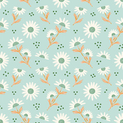 Seamless patterns and illustration with daisy flower. vector illustration. Cute summer wallpaper.