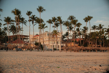 beach with palm trees