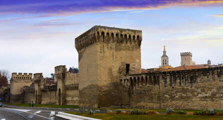 The City wall of Avignon is cultural landmark of France outdoor.