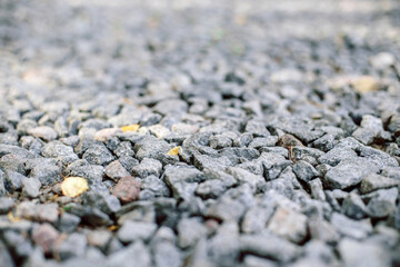 The beauty of this collection of pebbles lies in its diversity. Each pebble is unique in its own way in terms of shape and pattern, which can bring an interesting natural touch. bokeh stone wallpaper