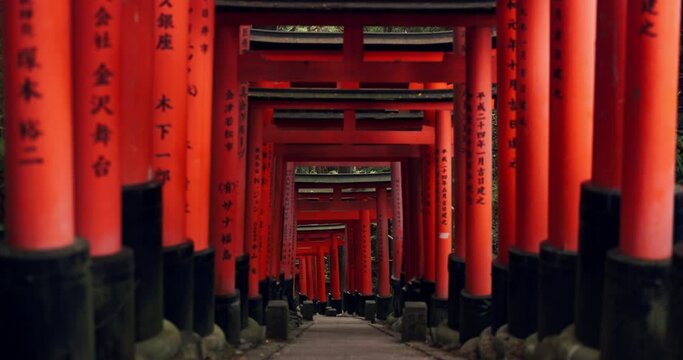 Japan, red torii gates and path in Fushimi inari-taisha for vacation, holiday or walkway for tourism. Pathway, Shinto religion and shrine in Kyoto for traditional architecture or spiritual culture