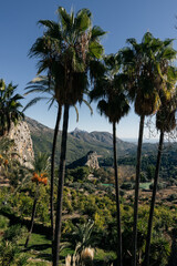 Fototapeta premium Mountain landscape, palm trees and jungle on a sunny day