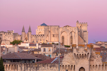 Palace of the Popes and Avignon Cathedral at sunset, Avignon, Provence, France