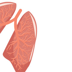 medical themed frame banner or flyer template with half of a human internal organ namely a healthy lung on a white background, vector