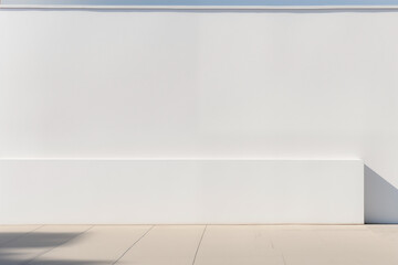 Simple white wall with an ethereal shadow.