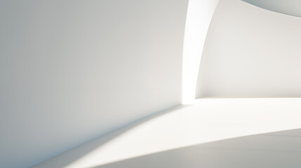 Simple white wall with an ethereal shadow.