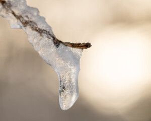 Frozen Icicle