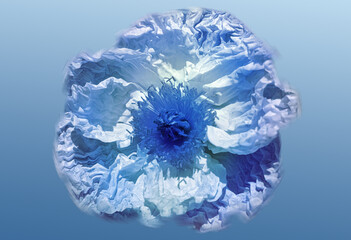 Indigo Crinkle flowers on solid blue background