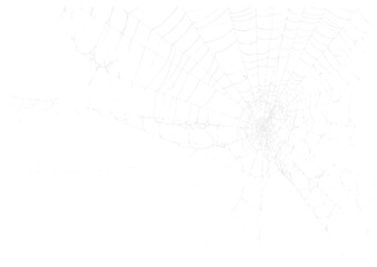 Spider Web v3 Alpha