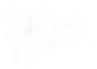 Spider Web v2 Alpha