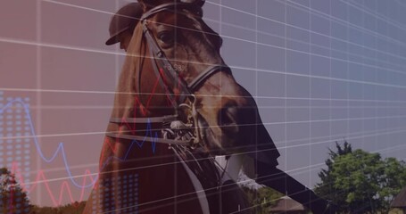 Animation of financial data processing over caucasian woman getting on horse - Powered by Adobe