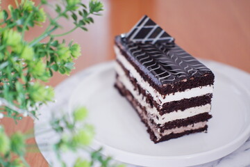 Delicious chocolate cake on a white plate