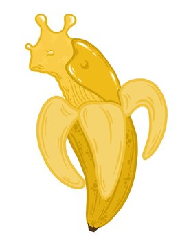 Banana slug illustration