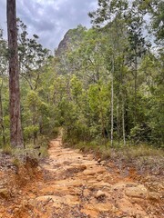 Fototapeta premium Mt Beerwah, Glass House Mountains Queensland