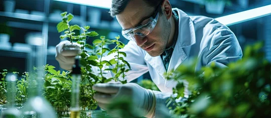 Tuinposter Slide view of biologist researcher analyzing gmo green leaf using medical microscope Chemist scientist examining organic agriculture plants in microbiology scientific laboratory © vxnaghiyev