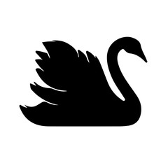 black swan vector