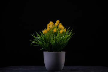yellow flower in a vase