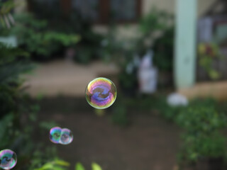 fun with bubble soap in sunny summer day. rainbow reflection in bubble soap surface. bubble soaps floating in the air.