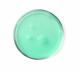 Petri dish with turquoise liquid sample on white background, top view
