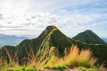 Cerro Picahos de Ola en Panama